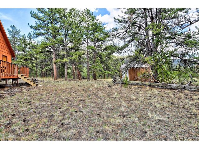 490 Teller St, Lake George, CO 80827