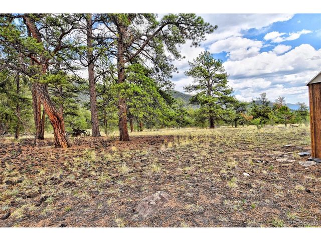 490 Teller St, Lake George, CO 80827