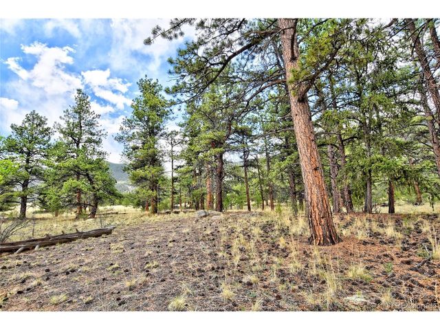 490 Teller St, Lake George, CO 80827