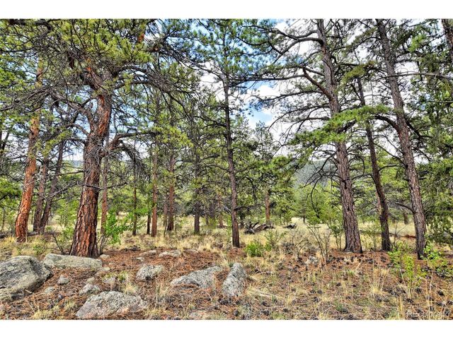 490 Teller St, Lake George, CO 80827