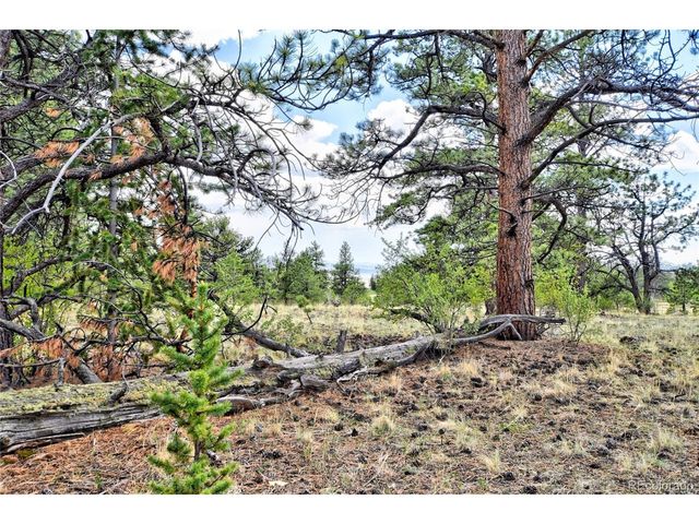 490 Teller St, Lake George, CO 80827