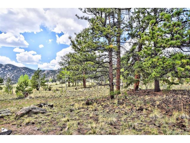 490 Teller St, Lake George, CO 80827