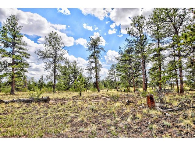 490 Teller St, Lake George, CO 80827