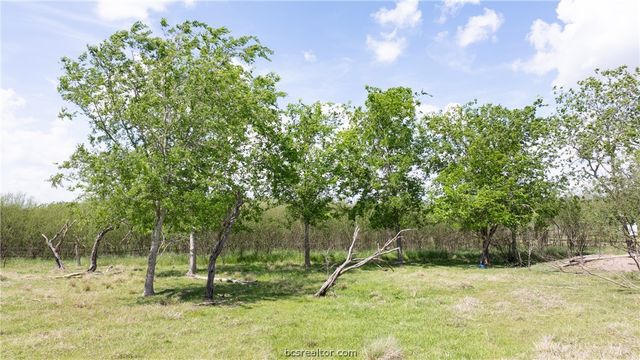 6981 County Road 108, Iola, TX 77861