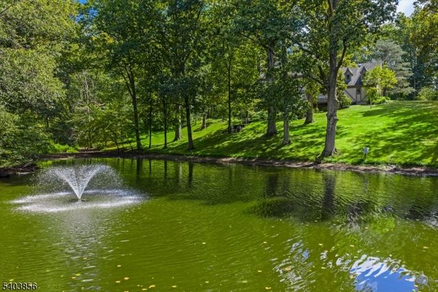 101 Sunnybranch Rd, Far Hills Boro, NJ 07931