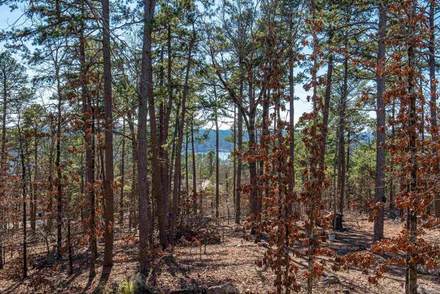 20 Hanares Lane, Hot Springs Village, AR 71909