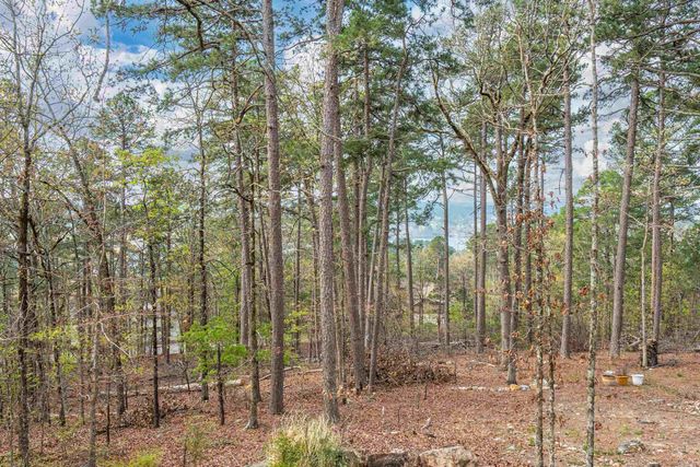 20 Hanares Lane, Hot Springs Village, AR 71909
