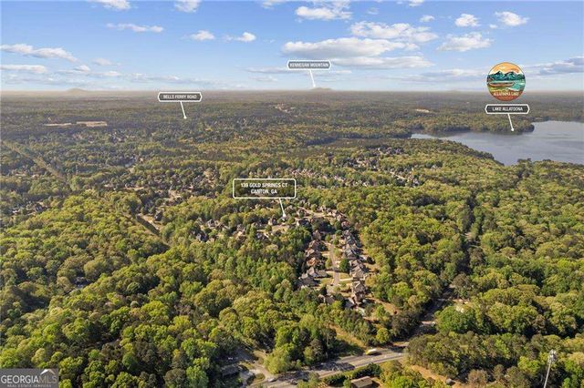 139 Gold Springs Court, Canton, GA 30114