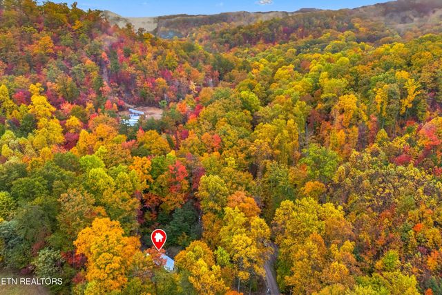 1053 Reagan Springs Rd, Seymour, TN 37865