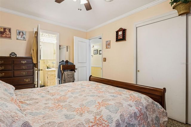 305 N LAUBER WAY, Tampa, FL 33609