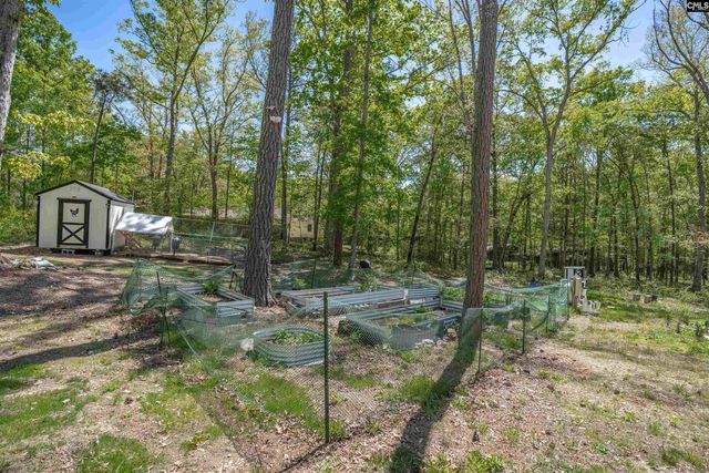 437 Amicks Ferry Road, Chapin, SC 29036