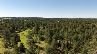 10348 Pine Song Place, Parker, CO 80138