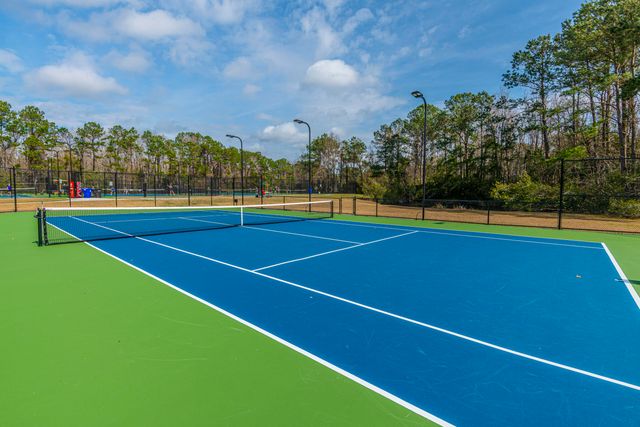 1295 Chrismill Lane, Mount Pleasant, SC 29466