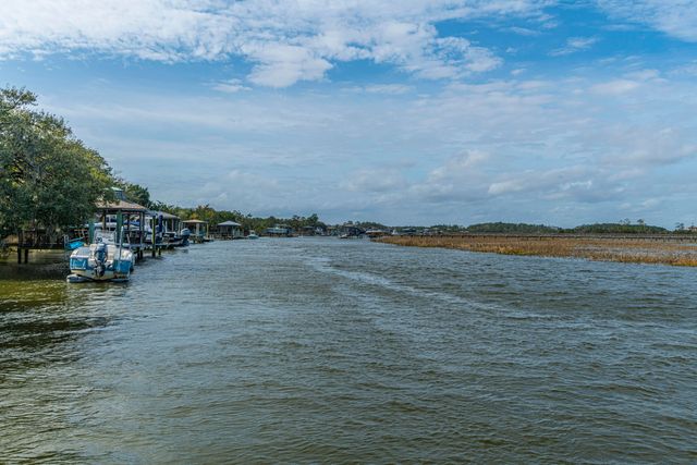 1295 Chrismill Lane, Mount Pleasant, SC 29466