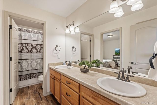 773 Sally Hill Court, Monument, CO 80132