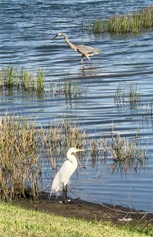 352 LAUREL FALLS DRIVE, Apollo Beach, FL 33572