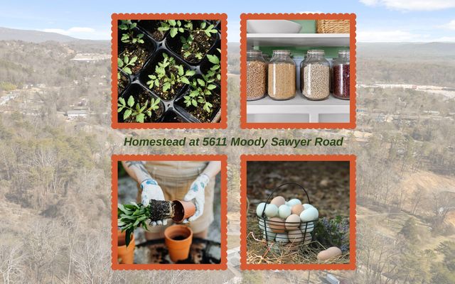 5611 Moody Sawyer Road, Hixson, TN 37343