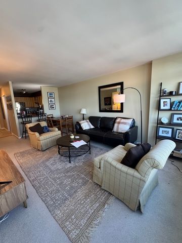 1560 N Sandburg Terrace 1505, Chicago, IL 60610