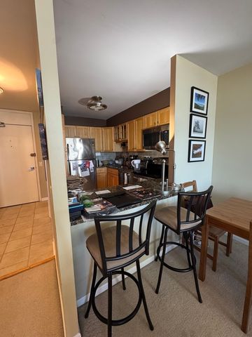 1560 N Sandburg Terrace 1505, Chicago, IL 60610