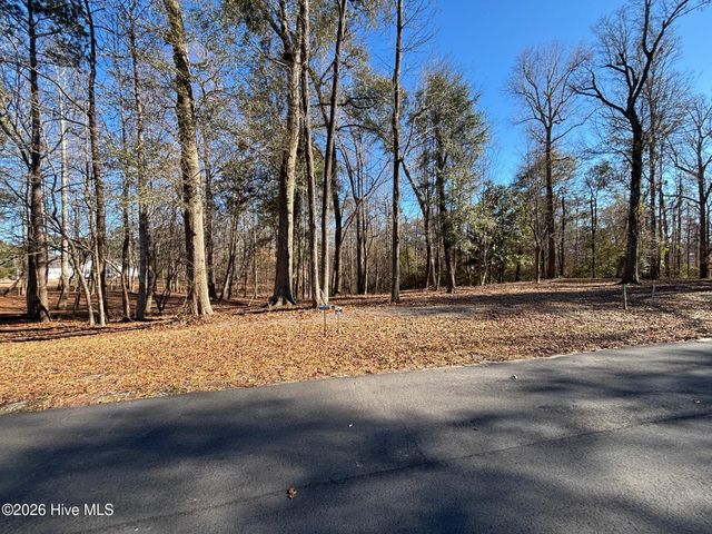 124 River Bluffs Drive, Castle Hayne, NC 28429