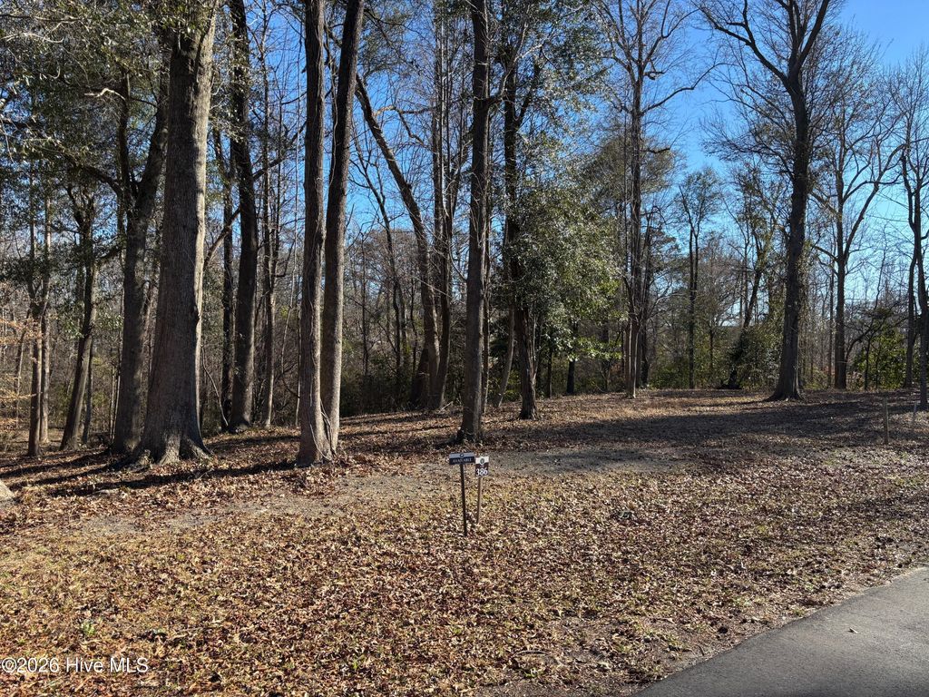 124 River Bluffs Drive, Castle Hayne, NC 28429