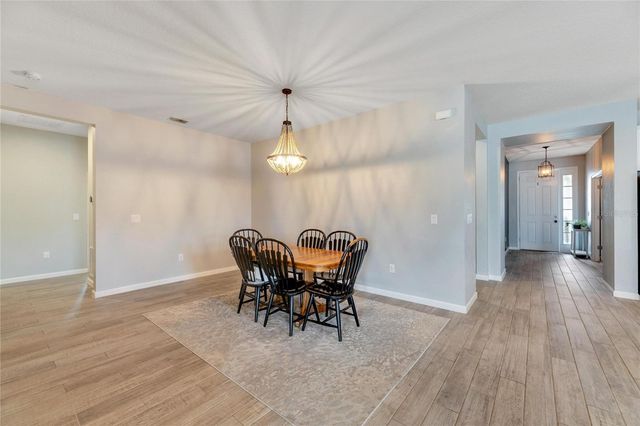 13012 RAIN LILY DRIVE, Riverview, FL 33579