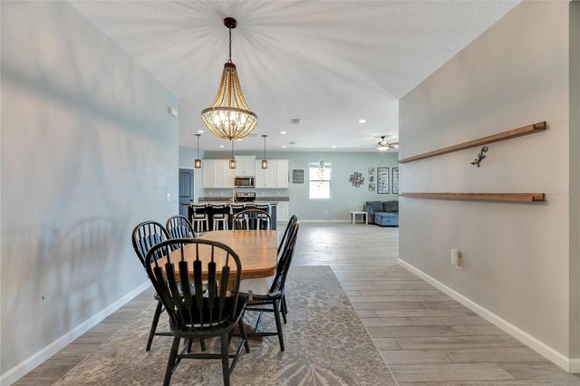 13012 RAIN LILY DRIVE, Riverview, FL 33579