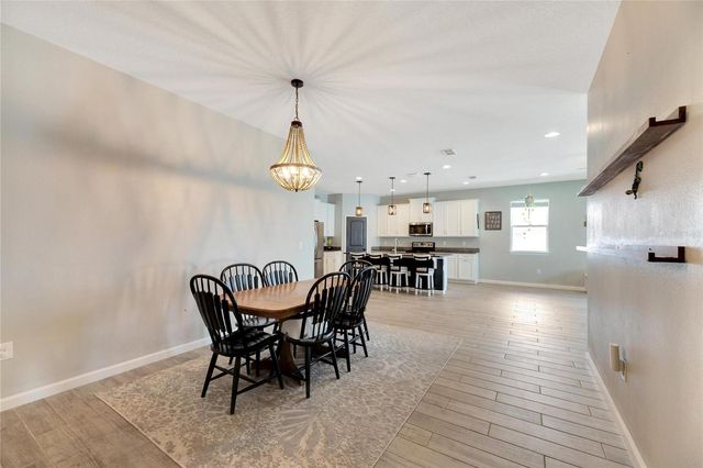 13012 RAIN LILY DRIVE, Riverview, FL 33579