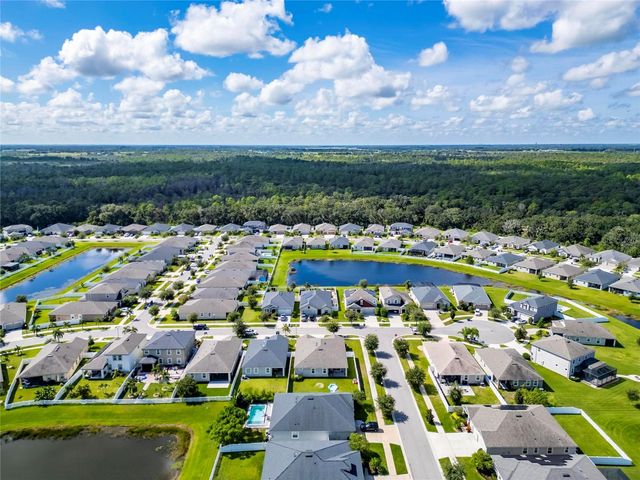 13012 RAIN LILY DRIVE, Riverview, FL 33579