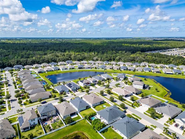 13012 RAIN LILY DRIVE, Riverview, FL 33579