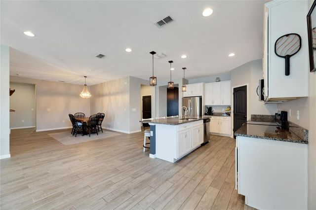 13012 RAIN LILY DRIVE, Riverview, FL 33579