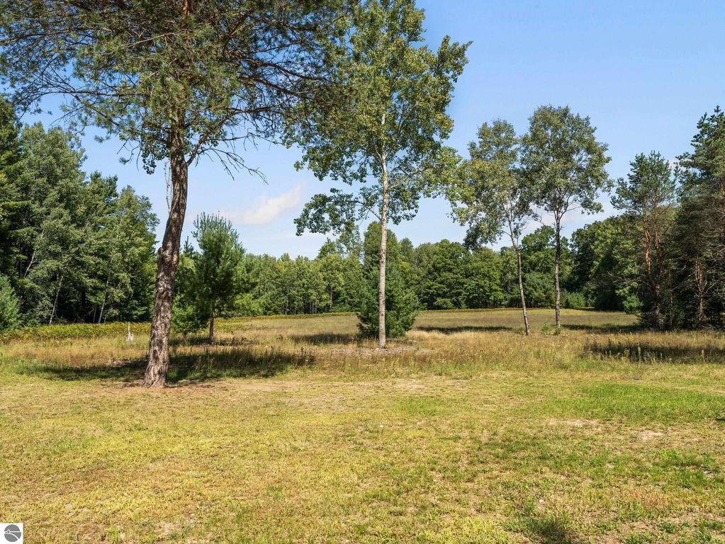 Open field with trees and lush greenery, showcasing the serene northern Michigan countryside surrounding the 4-bedroom, 2-bath home for sale at 5800 W Moorestown Road, Lake City, MI.
