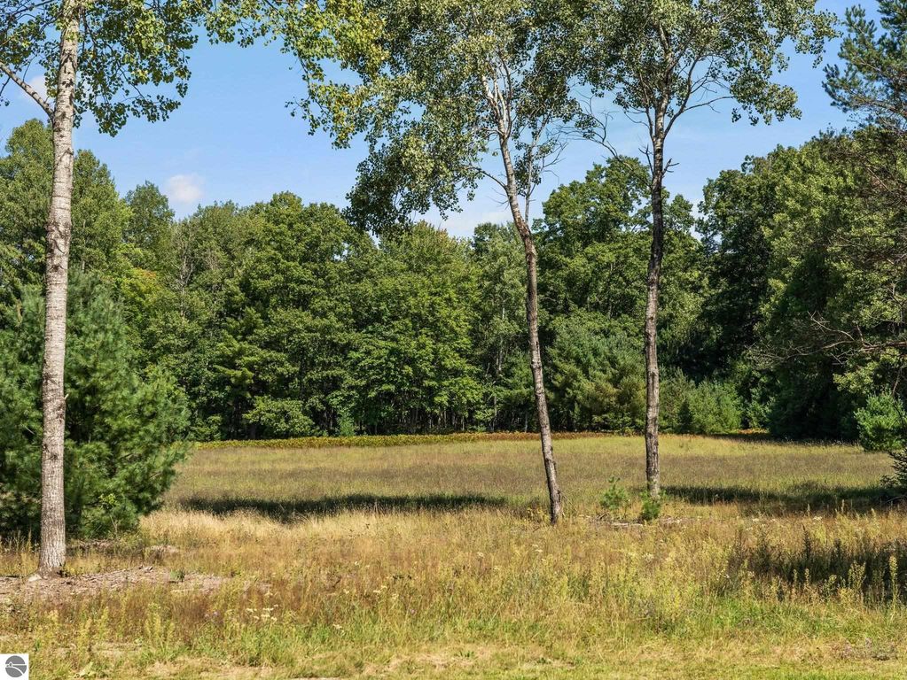 Scenic view of open field bordered by trees, showcasing the natural beauty of the 10-acre property at 5800 W Moorestown Road, Lake City, MI, ideal for outdoor activities and relaxation.