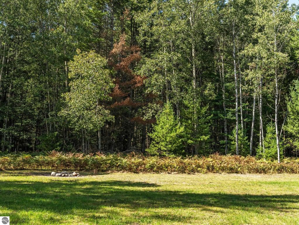 Lush northern Michigan landscape with trees and ferns, featuring a fire pit, highlighting the serene outdoor setting of the property at 5800 W Moorestown Road, Lake City.