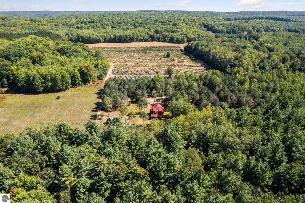 Aerial view of a custom-built 4-bedroom home on 10 acres in northern Michigan, surrounded by lush greenery and farmland, showcasing the peaceful countryside and natural beauty.