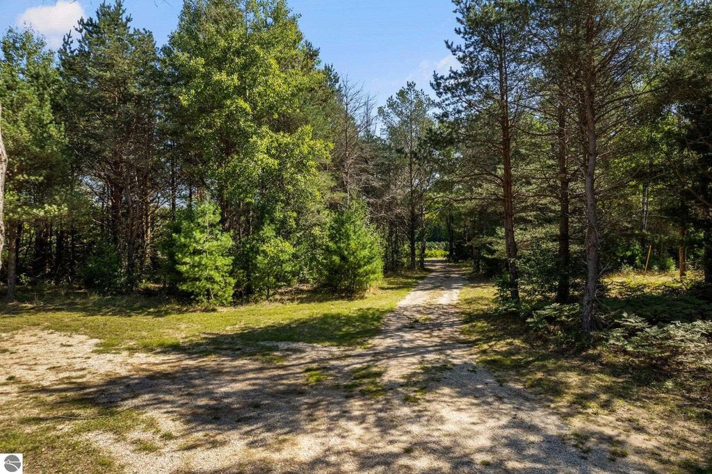 Gravel driveway leading through lush greenery and trees at 5800 W Moorestown Road, Lake City, MI, showcasing the serene northern Michigan countryside.