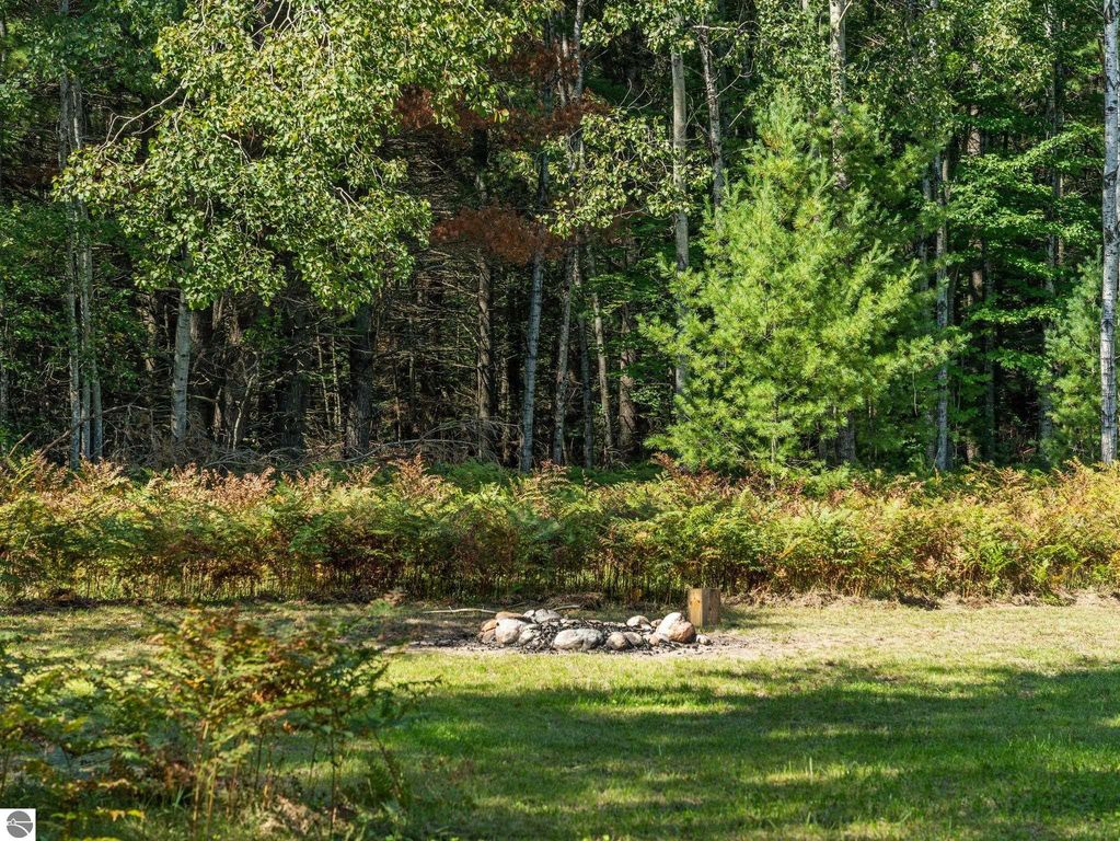 Fire pit surrounded by lush greenery and ferns, with a backdrop of dense trees in northern Michigan countryside, highlighting outdoor living space on 10 acres near custom-built home.