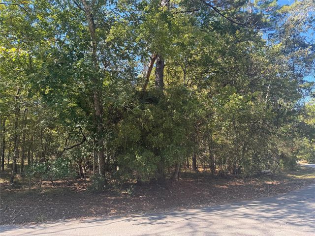 176 N Fairway Loop, Coldspring, TX 77331