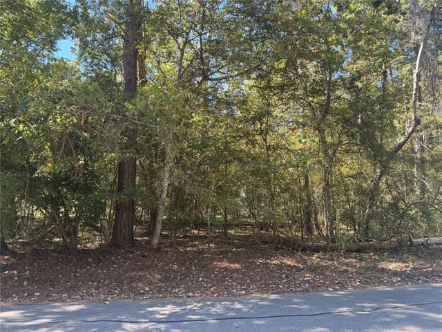 176 N Fairway Loop, Coldspring, TX 77331