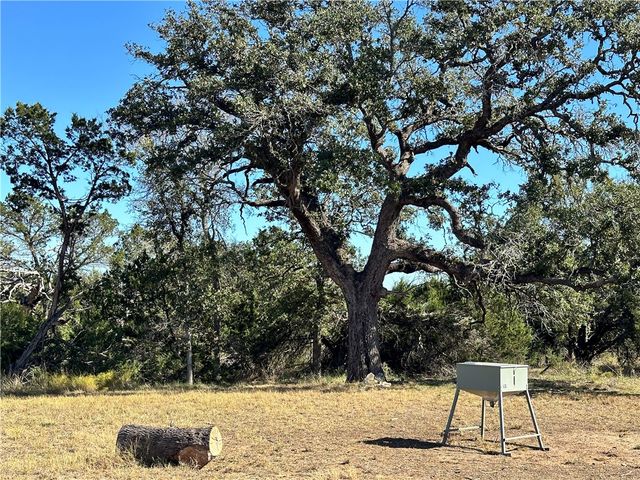 7160 PR 42127 Road, Evant, TX 76525