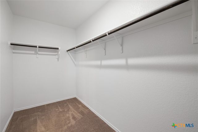 309 Black Alder Street, Georgetown, TX 78626