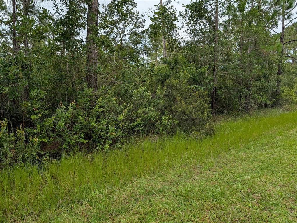 302 PANDORA DRIVE, Indian Lake Estates, FL 33855