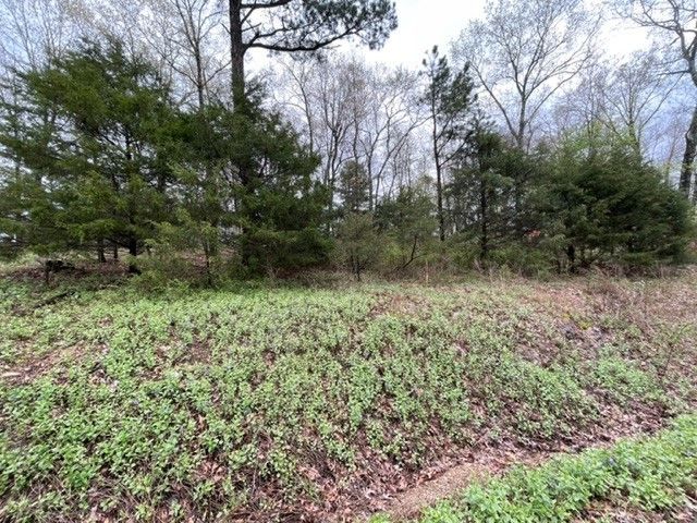 32 S Hills Loop, Holiday Island, AR 72631