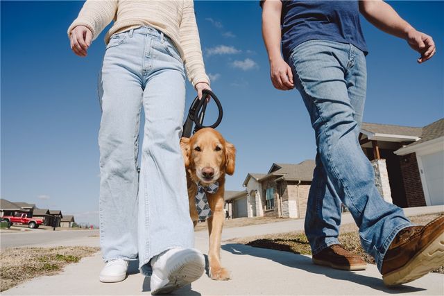 1309 Joyce Street, Pea Ridge, AR 72751