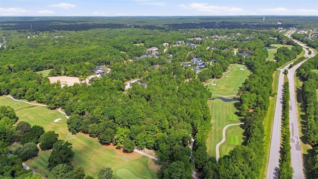 115 Chateau Pines Court, Montgomery, TX 77316