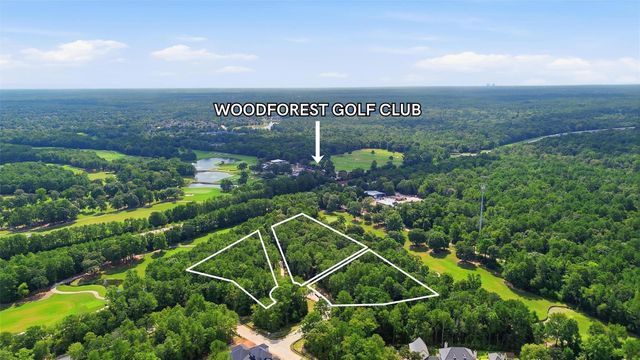 115 Chateau Pines Court, Montgomery, TX 77316