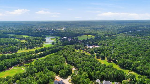 115 Chateau Pines Court, Montgomery, TX 77316