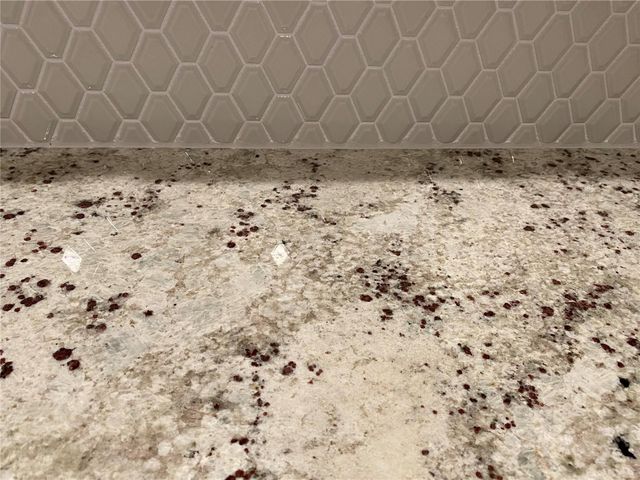 2950 FIREBUSH WAY, Clermont, FL 34711