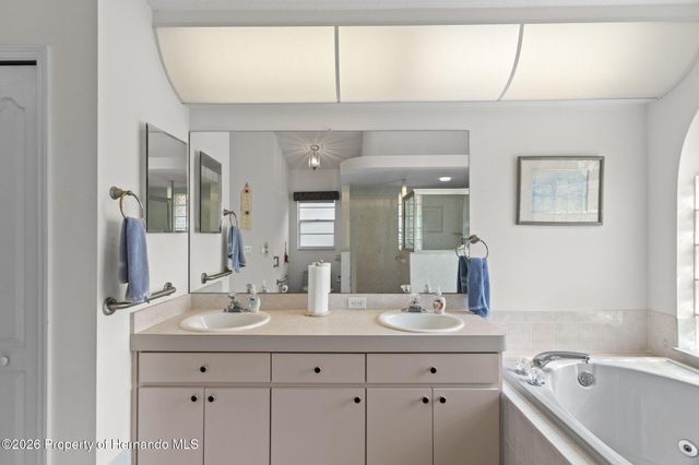 3047 Rippling Brook Way, Spring Hill, FL 34606