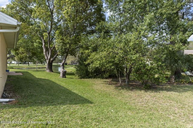 3047 Rippling Brook Way, Spring Hill, FL 34606